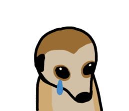 Meerkat sticker #1166735