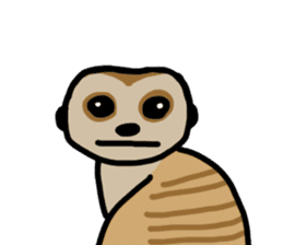 Meerkat sticker #1166738