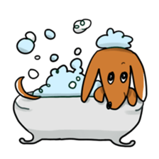 Dachshund-Sticker sticker #1167200