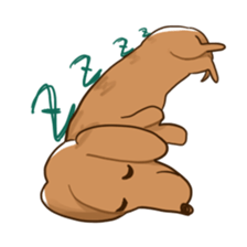 Dachshund-Sticker sticker #1167208