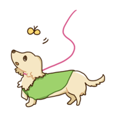 Dachshund-Sticker sticker #1167212