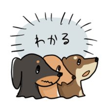 Dachshund-Sticker sticker #1167215