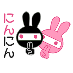 PINK NINJA RABBIT