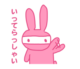 PINK NINJA RABBIT sticker #1167718