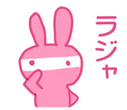 PINK NINJA RABBIT sticker #1167726