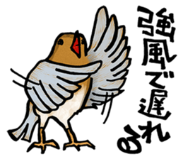 The petting zoo sticker sticker #1169051