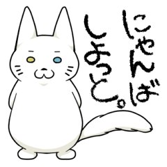 Let's talk in the Kumamoto dialect.