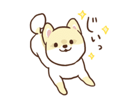 Pomeranian Cocoa ~Japanese version~ sticker #1173308