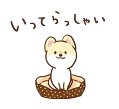 Pomeranian Cocoa ~Japanese version~ sticker #1173311