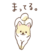 Pomeranian Cocoa ~Japanese version~ sticker #1173312
