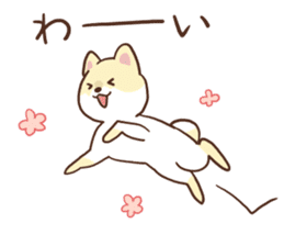 Pomeranian Cocoa ~Japanese version~ sticker #1173316