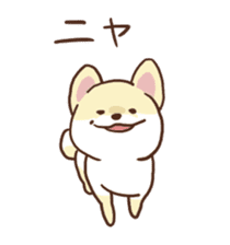 Pomeranian Cocoa ~Japanese version~ sticker #1173326