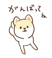 Pomeranian Cocoa ~Japanese version~ sticker #1173344