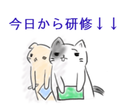 shift system cat sticker #1173366