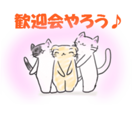 shift system cat sticker #1173375