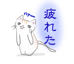 shift system cat sticker #1173380