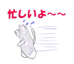 shift system cat sticker #1173382