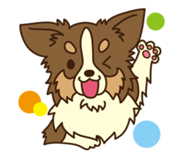 I love Border Collie!! sticker #1173828