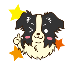 I love Border Collie!! sticker #1173834