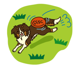 I love Border Collie!! sticker #1173835