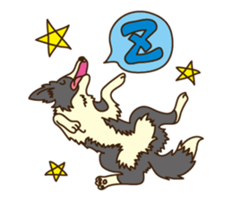 I love Border Collie!! sticker #1173845