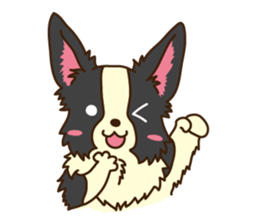 I love Border Collie!! sticker #1173848