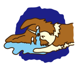 I love Border Collie!! sticker #1173857