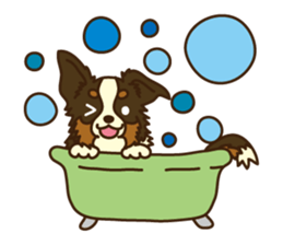 I love Border Collie!! sticker #1173861