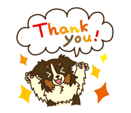 I love Border Collie!! sticker #1173864