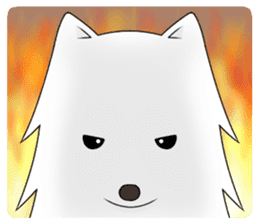 white pomeranian and puppies sticker #1175360