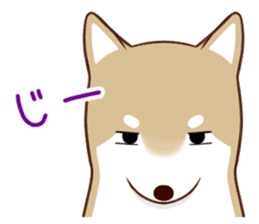 white pomeranian and puppies sticker #1175385