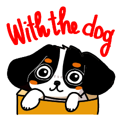 Cute dog of the tri-color for English.