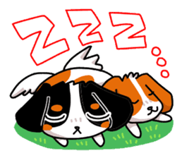 Cute dog of the tri-color for English. sticker #1176270