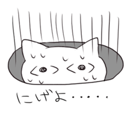 Eye-opening cat sticker #1176323