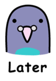 Birds' reply (English) sticker #1177524