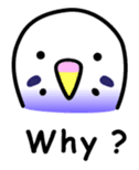 Birds' reply (English) sticker #1177526