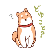 Shiba(dog) sticker #1177866
