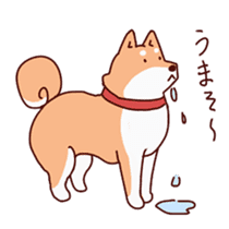 Shiba(dog) sticker #1177879