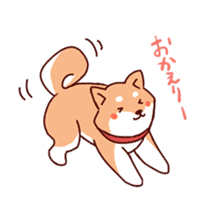 Shiba(dog) sticker #1177885
