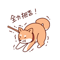 Shiba(dog) sticker #1177889