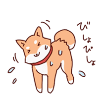 Shiba(dog) sticker #1177892