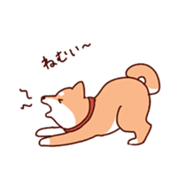 Shiba(dog) sticker #1177895