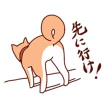 Shiba(dog) sticker #1177900