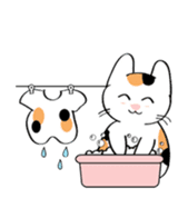 Chill Chill The Cat sticker #1178923