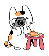 Chill Chill The Cat sticker #1178934