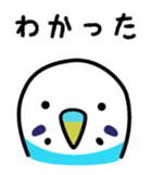 Birds' reply (Japanese) sticker #1179507