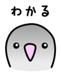 Birds' reply (Japanese) sticker #1179537