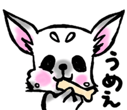 Chihuahua and Turtle sticker #1179879