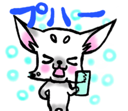 Chihuahua and Turtle sticker #1179891