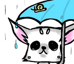 Chihuahua and Turtle sticker #1179904